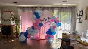 a bunch of balloons in a room with a balloon wall at Diófaliget Guesthouse in Pogány