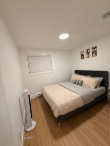 a bedroom with a bed and a television in it at Modern 2BR Suite, Wifi, Workstation and Comfy Beds in St. John's