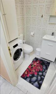 a bathroom with a toilet and a washing machine at Apartman Malvina in Flogita +15 photos