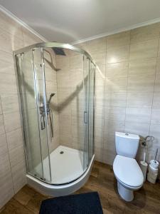 a bathroom with a shower and a toilet and a tub at Chatki Bies-Czadowe-Czad in Berezka