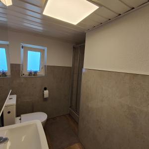 a bathroom with a toilet and a sink and two windows at Altenauer Kaffee-Chalet in Altenau +4 photos