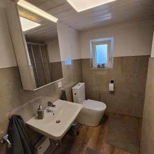 a bathroom with a sink and a toilet and a mirror at Altenauer Kaffee-Chalet in Altenau