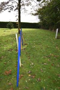 a group of baseball bats in a field at Ferienappartment Lhasa Apso in Dornum +14 photos