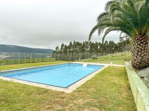 a swimming pool in a yard with a palm tree at Apartamento MN Estorde by ALÔGA in Vilar