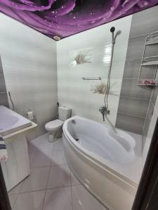 a bathroom with a bath tub and a toilet at Nest & Rest StuDio in Stavcheny