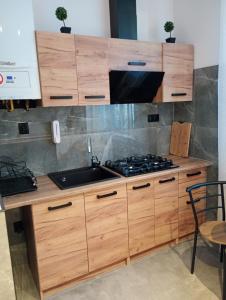 a kitchen with a sink and a stove at Zacisze 4 in Przemyśl