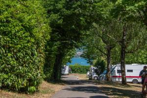 a tree lined path with a rv and a lake at Camping Onlycamp Au Cœur du Lac - Lac d'Annecy in Sévrier
