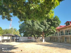 a large tree in front of a building at Forest Hotel in Miarinarivo
