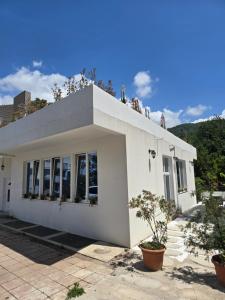 a white house with windows and plants in front of it at Villa Iper Krystallos in Budva