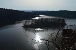 a view of a river with trees in the distance at Veselka in Seč
