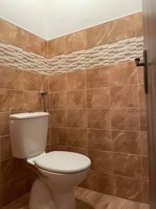 a bathroom with a toilet and a tiled wall at Veselka in Seč