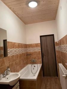 a bathroom with a sink and a tub and a toilet at Veselka in Seč