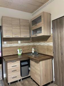 a kitchen with wooden cabinets and a sink at Veselka in Seč