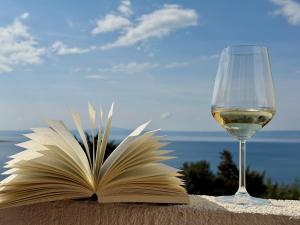 an open book and a glass of white wine at Sunshine Residence in Stara Baška