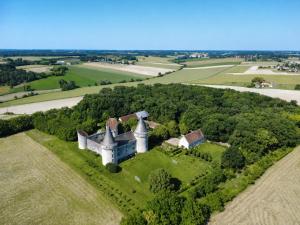 an aerial view of an old castle on a field at Château de Bagneux in Bournan