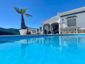 a villa with a palm tree and a swimming pool at Casira gastenkamers & Casitas, Viñuela, Andalucía in Viñuela