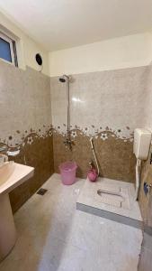 a bathroom with a shower and a toilet and a sink at 2 Bed Apartment With View in Patriata