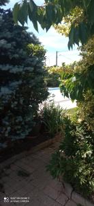 a garden with trees and a walkway at Les Ouilerres in Mervent