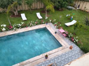 an overhead view of a swimming pool with chairs and flowers at Dar Zaytouna in Oulad Akkou