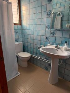a blue tiled bathroom with a sink and a toilet at Masia Garridells in L'Ampolla +24 photos