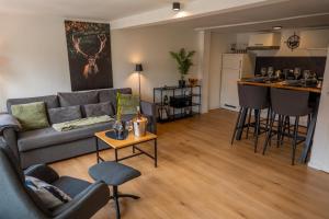 a living room with a gray couch and a kitchen at Goslar LIVING 1 - Modern & Zentral in Goslar