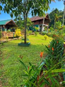 a garden in front of a house with a tree at Rainforest mountain resort in Deniyaya