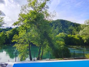 a tree next to a body of water at Villa Una Verde in Bosanska Krupa