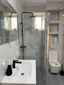 a bathroom with a sink and a shower and a toilet at DAS Apartmani Bileća in Bileća