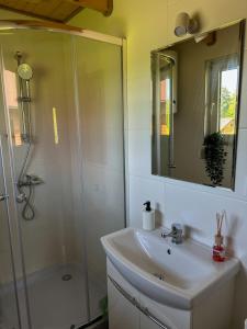 a bathroom with a sink and a shower at Chatki Bies-Czadowe-Bies in Berezka