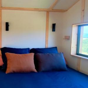 a bed with blue pillows in a room with a window at Les nids de Bonnan in Milhars