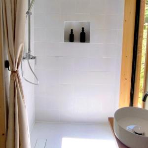 a bathroom with a shower with two bottles on shelves at Les nids de Bonnan in Milhars +60 photos