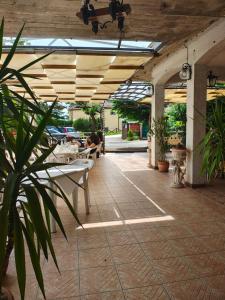 a patio with a table and chairs and a plant at Albergo Ristorante Il Torrione in Auditore