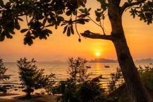 a sunset on the beach with a tree at Ma's Sea Beach House in Klong Muang Beach