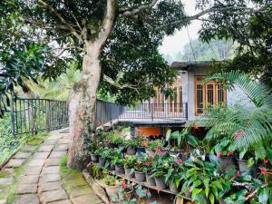 a house with a bunch of plants in front of it at Archwey Coco Ella in Ella