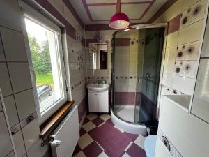 a bathroom with a shower and a toilet and a sink at POKOJE GOŚCINNE U ANIELI Szczyrk Biały Krzyż in Szczyrk