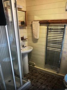 a bathroom with a sink and a shower at ballyskelly lodge in Jemimaville +12 photos