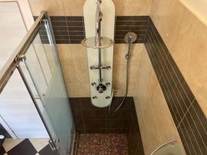 a shower in a bathroom with a glass door at Suites Asia in Argelato +26 photos