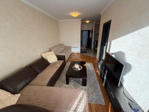 a living room with a couch and a tv at Apartman ML Company in Bečići +9 photos