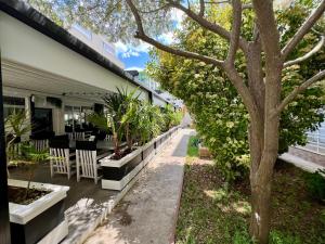 O grădină în afara Resort Leon Beach