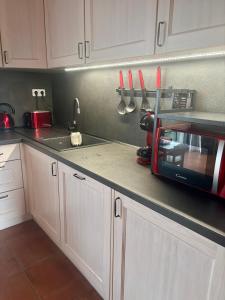 a kitchen with a counter top with a microwave at Králíkárna in Králíky +6 photos