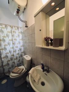 a bathroom with a sink and a toilet and a mirror at Magklaras Seaside Apartments in Néa Palátia