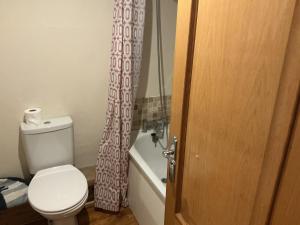 ein Badezimmer mit Toilette und Duschvorhang in der Unterkunft Barn 5 in Vigo Village + 5 Fotos