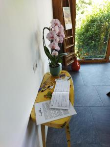 a table with a potted plant and a book on it at Ca' Merla affittacamere in Morbegno +9 photos