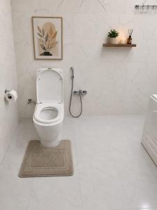 a white bathroom with a toilet and a shower at Ganja Comfort Home in Ganja