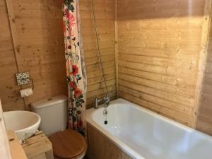 a bathroom with a white tub and a toilet at Vigo Retreat cabin 1 in Sevenoaks