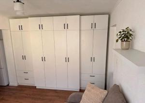 a living room with white cabinets and a potted plant at Sissi Apartments in Gheorgheni