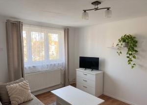 a living room with a couch and a tv on a dresser at Sissi Apartments in Gheorgheni