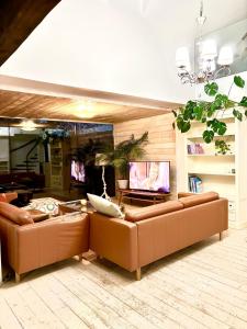 a living room with two brown couches and a tv at Gallery loft Myjava Hrachoviste in Hrachovište
