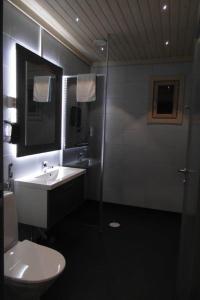 a bathroom with a sink and a toilet and a mirror at Valkea Arctic Lodge in Pello