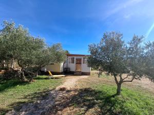 a small house with a tree in front of it at Mobile Home MEDITERRA in Pirovac